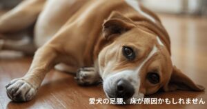 滑らない床リフォームで足腰を守る